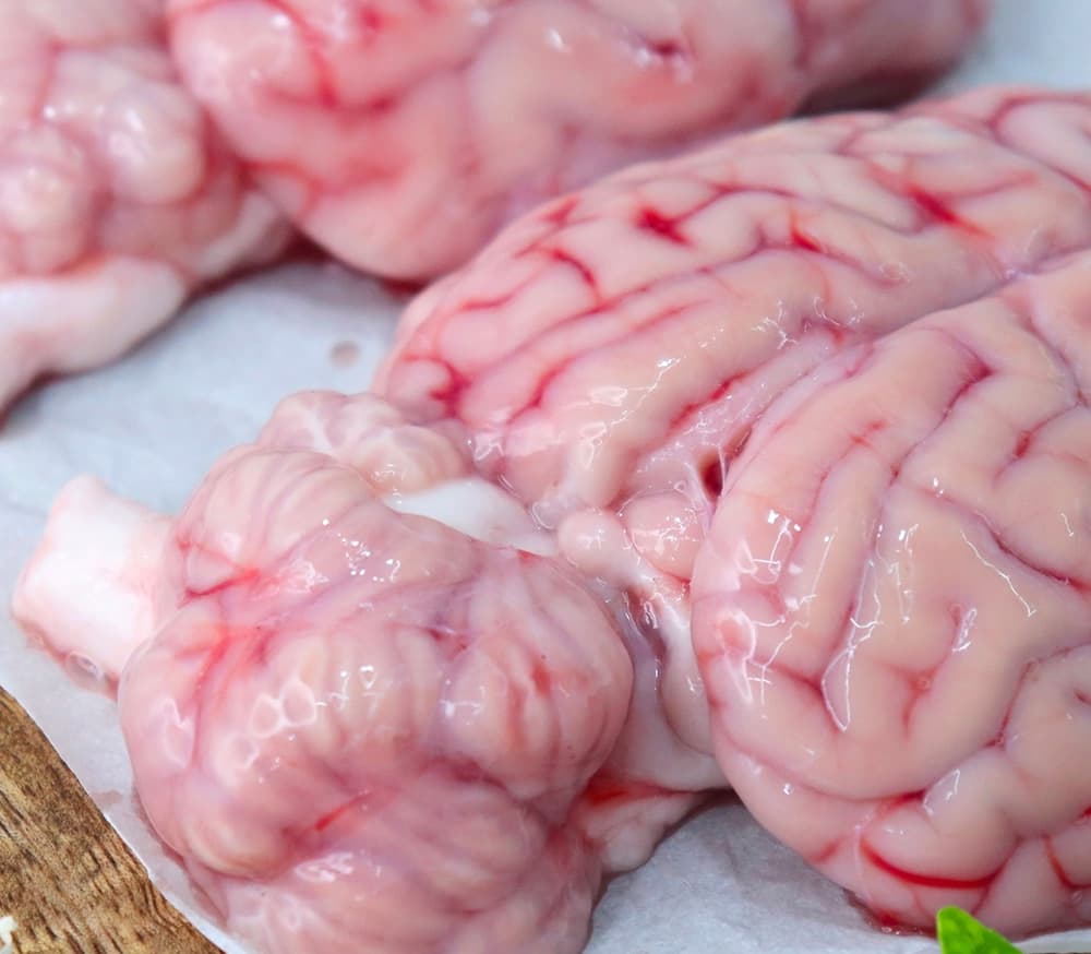 Un sexagénaire se fait offrir de la cervelle par un schizophrène de 26 ans...